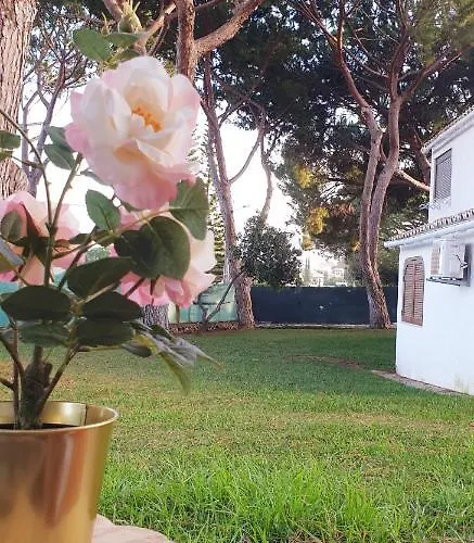 Estudio Na Falesia * Albufeira