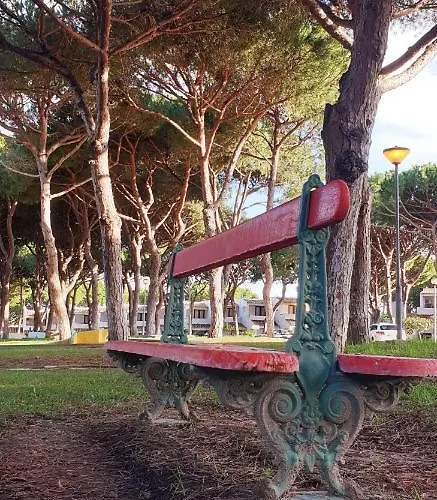 Estudio Na Falesia Διαμέρισμα Αλμπουφέιρα