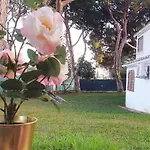 Estudio Na Falesia * Αλμπουφέιρα