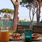 Estudio Na Falesia Αλμπουφέιρα
