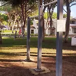 Estudio Na Falesia Αλμπουφέιρα